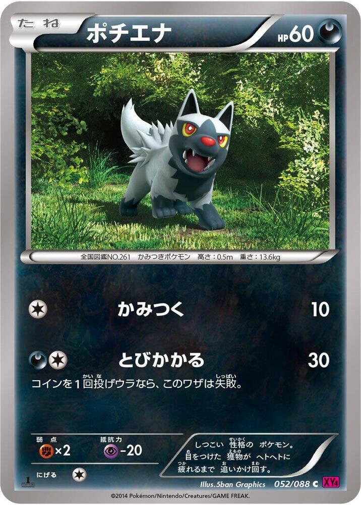 Poochyena (052/088) [XY4: Phantom Gate]