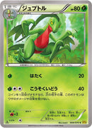 Grovyle (004/070) [XY5-Bg: Gaia Volcano]