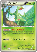 Sceptile - 005/070 (005/070) [XY5-Bg: Gaia Volcano]