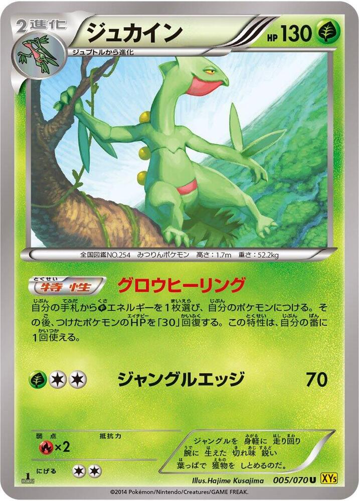 Sceptile - 005/070 (005/070) [XY5-Bg: Gaia Volcano]