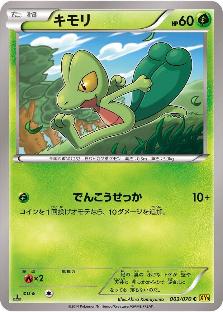 Treecko (003/070) [XY5-Bg: Gaia Volcano]