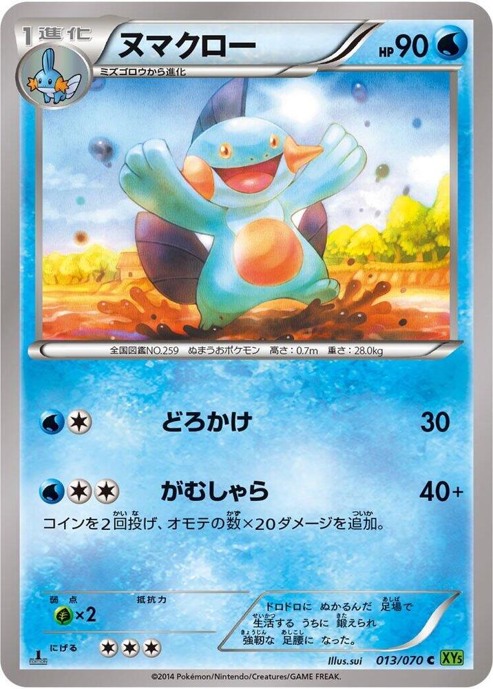 Marshtomp (013/070) [XY5-Bt: Tidal Storm]