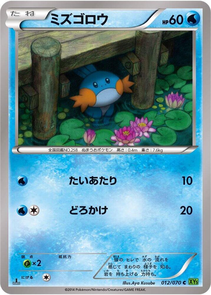 Mudkip (012/070) [XY5-Bt: Tidal Storm]
