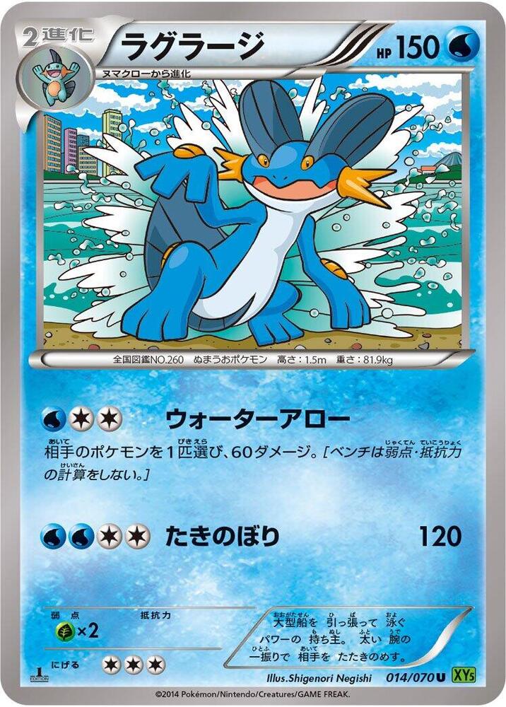 Swampert - 014/070 (014/070) [XY5-Bt: Tidal Storm]