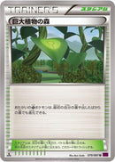 Forest of Giant Plants (079/081) [XY7: Bandit Ring]