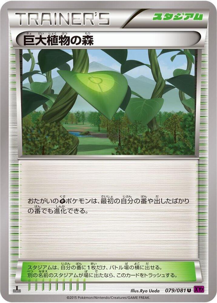 Forest of Giant Plants (079/081) [XY7: Bandit Ring]