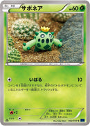Cacnea (002/059) [XY8-Bb: Blue Shock]