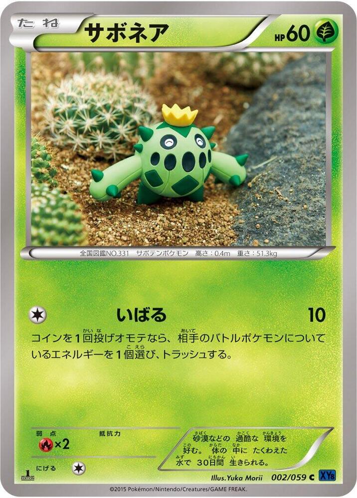 Cacnea (002/059) [XY8-Bb: Blue Shock]