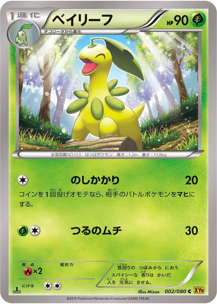 Bayleef (002/080) [XY9: Rage of the Broken Heavens]