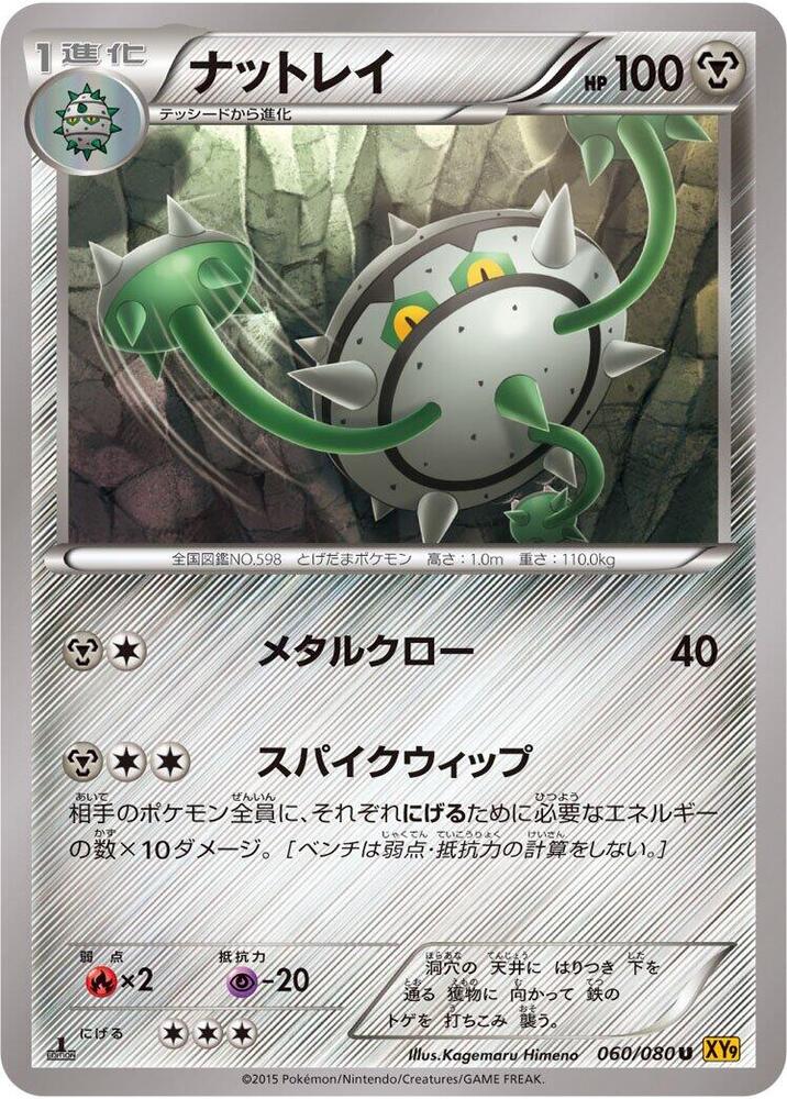 Ferrothorn (060/080) [XY9: Rage of the Broken Heavens]