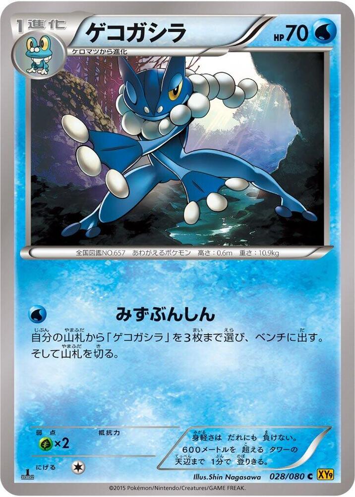 Frogadier (028/080) [XY9: Rage of the Broken Heavens]