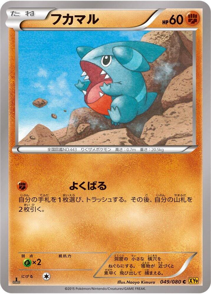 Gible (049/080) [XY9: Rage of the Broken Heavens]