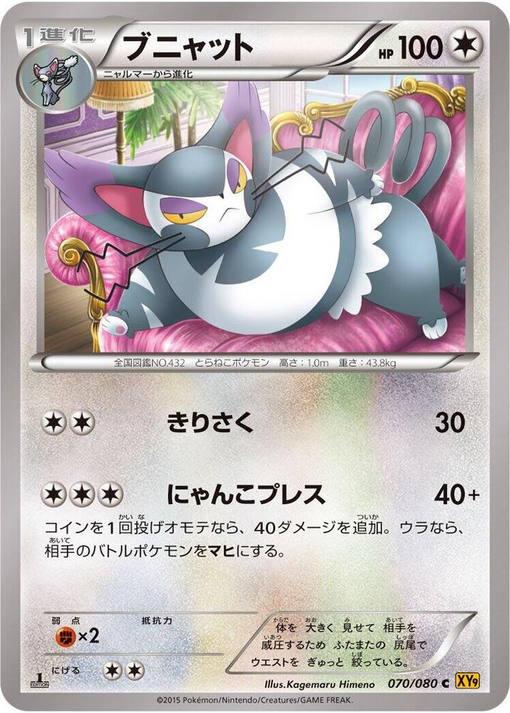 Purugly (070/080) [XY9: Rage of the Broken Heavens]