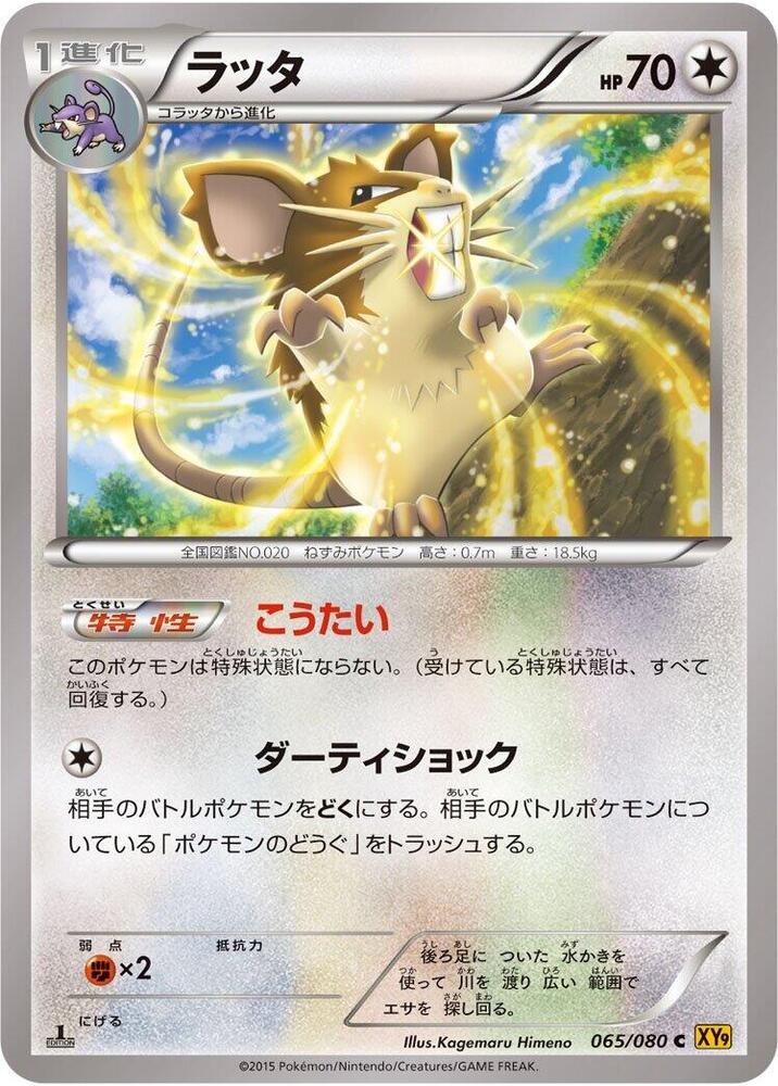 Raticate (065/080) [XY9: Rage of the Broken Heavens]
