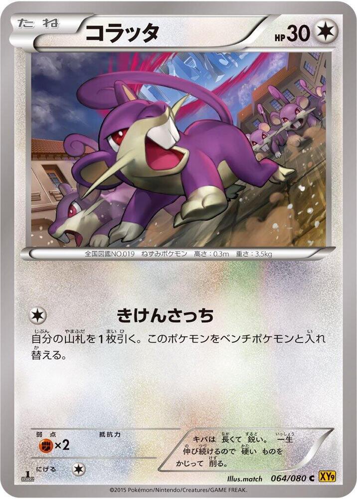 Rattata (064/080) [XY9: Rage of the Broken Heavens]