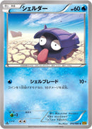 Shellder (016/080) [XY9: Rage of the Broken Heavens]