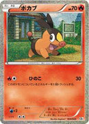 Tepig (004/009) [CS1: Journey Partners Collection Sheet]
