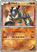 Terrakion (013/014) [BK: Terrakion Battle Strength Deck]