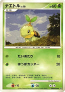 Turtwig [DP1: Space-Time Creation]