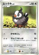 Starly [DP1: Space-Time Creation]