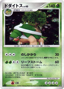 Torterra [DP1: Space-Time Creation]