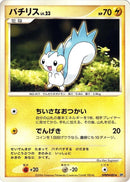 Pachirisu [DP1: Space-Time Creation]