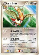 Pidgeot [DP3: Shining Darkness]