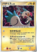 Pachirisu [DP4: Dawn Dash]