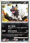 Poochyena [DP5: Cry from the Mysterious]