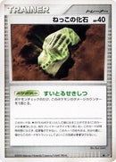 Root Fossil [DP5: Cry from the Mysterious]
