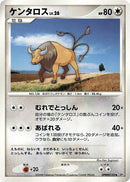 Tauros [DP5: Cry from the Mysterious]