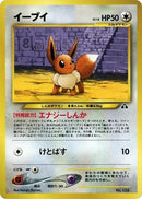 Eevee [Neo Premium File 2]