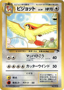 Pidgeot [Southern Island]