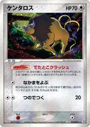 Tauros (053/075) [Miracle Crystal]