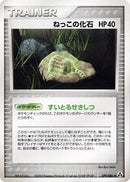Root Fossil (079/086) [Mirage Forest]
