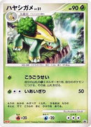 Grotle - 034/DP-P (034/DP-P) [DP-P Promotional cards]