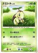 Turtwig - 005/DP-P (005/DP-P) [DP-P Promotional cards]