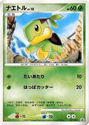 Turtwig - 027/DP-P (027/DP-P) [DP-P Promotional cards]