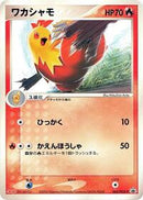 Combusken - 065/PCG-P (065/PCG-P) [PCG-P Promotional cards]
