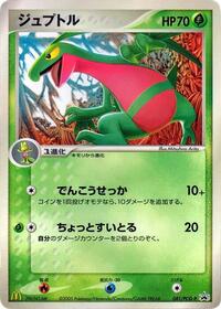 Grovyle - 081/PCG-P (081/PCG-P) [PCG-P Promotional cards]