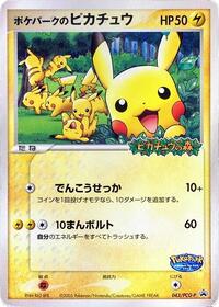 PokePark's Pikachu - 043/PCG-P (043/PCG-P) [PCG-P Promotional cards]