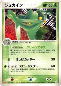 Sceptile - 063/PCG-P (063/PCG-P) [PCG-P Promotional cards]