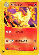 Rapidash - 011/P (011/P) [P Promotional cards]
