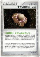 Skull Fossil [Battle Road]