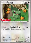 Axew - 206/BW-P (206/BW-P) [BW-P Promotional cards]