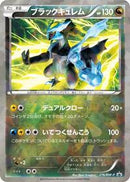 Black Kyurem - 216/BW-P (216/BW-P) [BW-P Promotional cards]