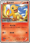 Charmander - 165/BW-P (165/BW-P) [BW-P Promotional cards]