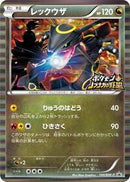 Rayquaza - 144/BW-P (144/BW-P) [BW-P Promotional cards]