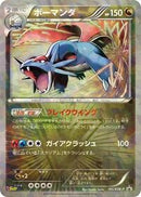 Salamence - 195/BW-P (195/BW-P) [BW-P Promotional cards]