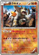 Terrakion - 155/BW-P (155/BW-P) [BW-P Promotional cards]